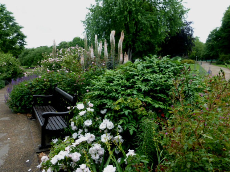 Il cuore verde di Londra: Kensington Gardens e Hyde Park